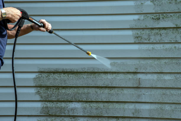 Best Sidewalk and Walkway Cleaning  in Bells, TX